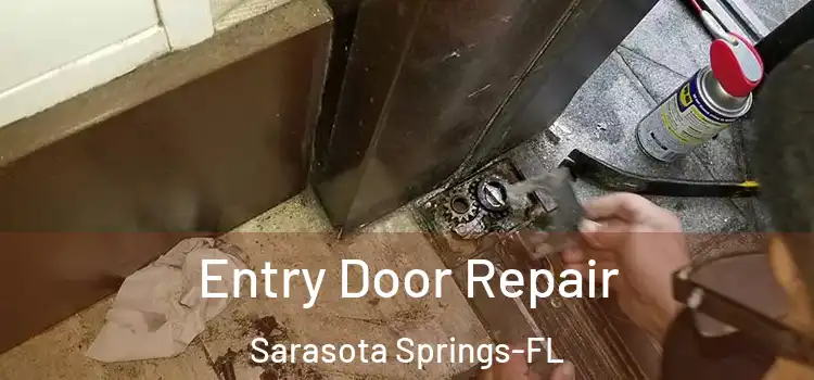 Entry Door Repair Sarasota Springs-FL